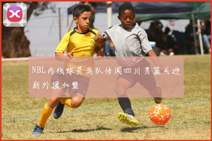 NBL内线球员离队传闻四川男篮或迎新外援加盟