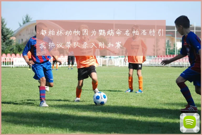 都柏林动物园为鹦鹉命名帕洛特引发热议带队杀入附加赛